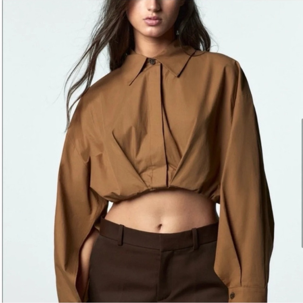Zara Cropped Brown Women's Collared Top Size Small.